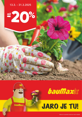 bauMax