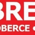 Koberec