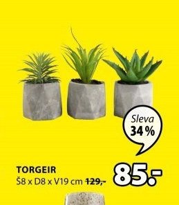 TORGEIR