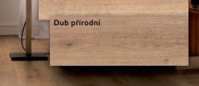 Dub přírodní