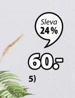 UMĚLÁ KVĚTINA DAGFINN