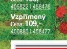 Vzpřímený