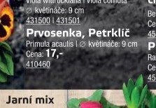 Prvosenka, Petrklíč