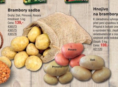 Brambory sadba