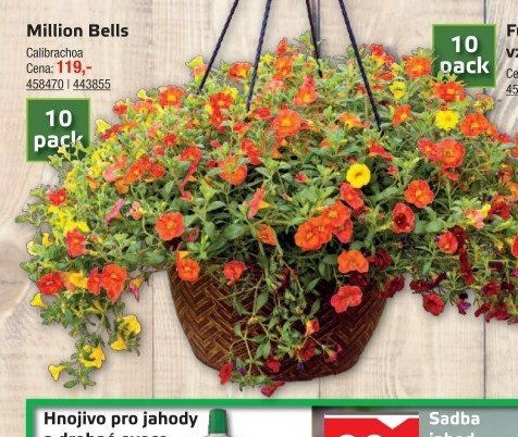 Million Bells