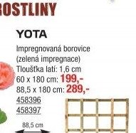 YOTA