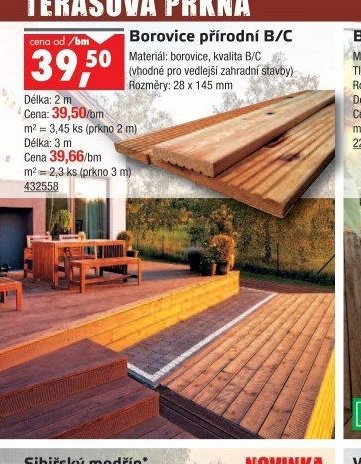 Borovice přírodní B/C