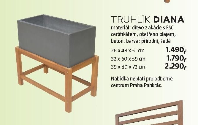 TRUHLÍK DIANA