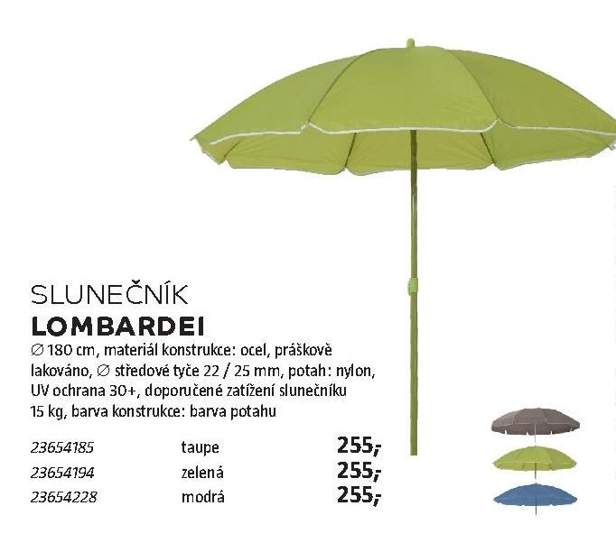 Slunečník Lombardei