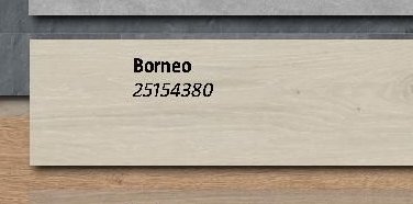 Borneo 25154380