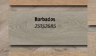 Barbados 25152685