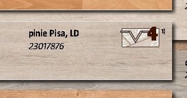 pinie Pisa, LD