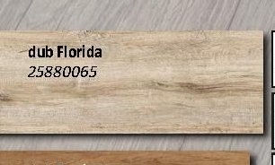 dub Florida