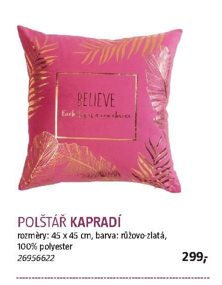 POLŠTÁŘ KAPRADÍ