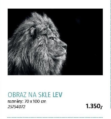 OBRAZ NA SKLE LEV