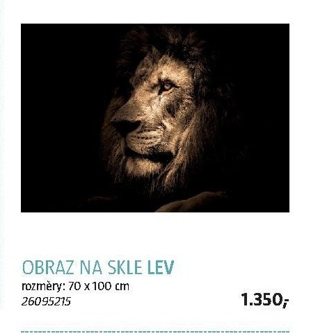 OBRAZ NA SKLE LEV