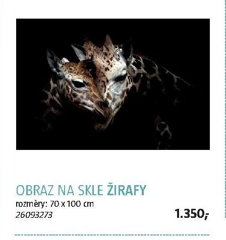 OBRAZ NA SKLE ŽIRAFY