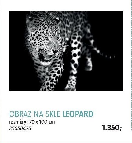OBRAZ NA SKLE LEOPARD