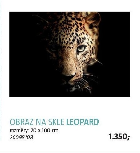 OBRAZ NA SKLE LEOPARD