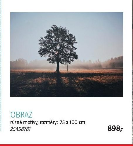 OBRAZ