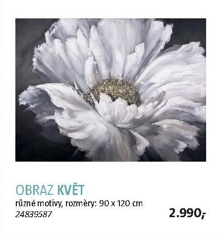 OBRAZ KVĚT