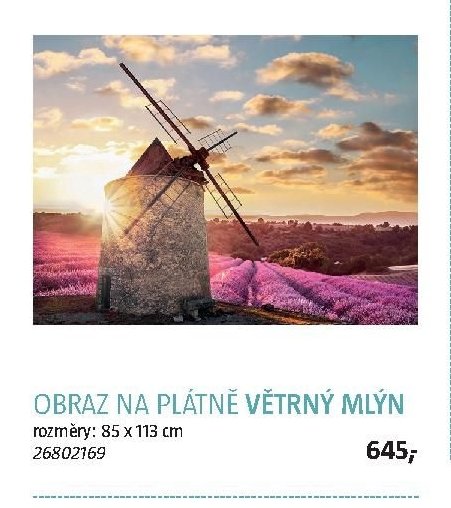 OBRAZ NA PLÁTNĚ VĚTRNÝ MLÝN