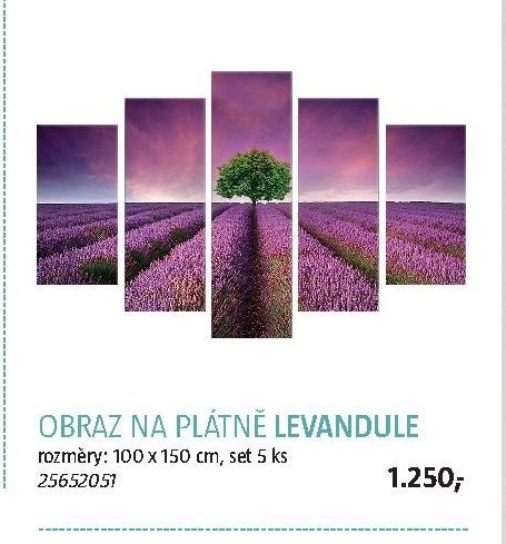 OBRAZ NA PLÁTNĚ LEVANDULE