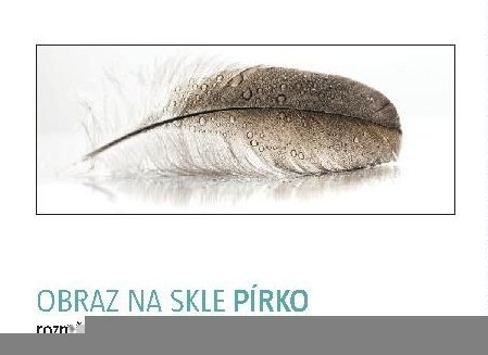 OBRAZ NA SKLE PÍRKO