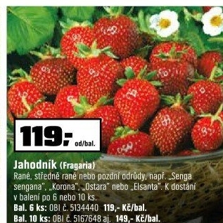 Jahodník
