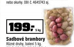 Sadbové brambory