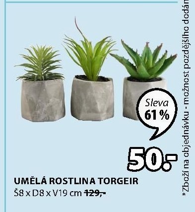 UMĚLÁ ROSTLINA TORGEIR