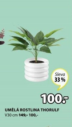 UMĚLÁ ROSTLINA THORULF