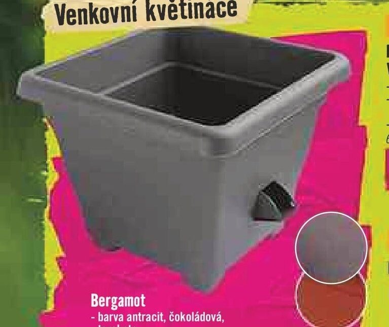 Bergamot