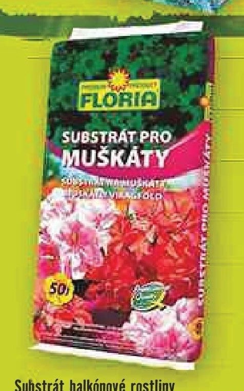 Substrát balkónové rostliny