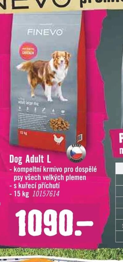 FINEVO Dog Adult L