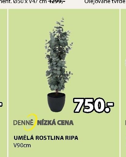 UMĚLÁ ROSTLINA RIPA