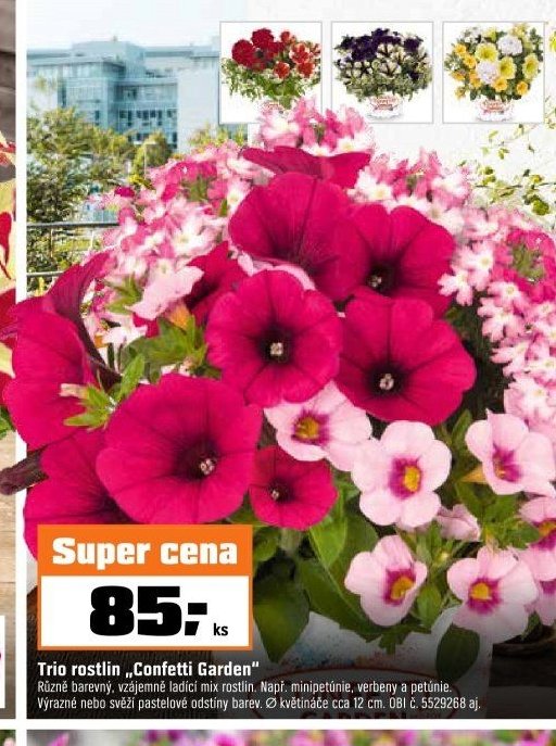 Trio rostlin „Confetti Garden“