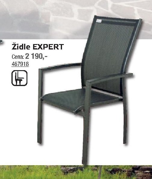 Židle EXPERT