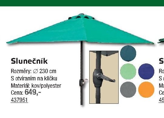 Slunečník