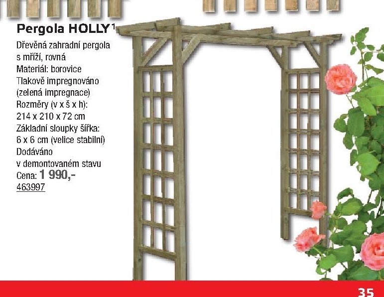 Pergola HOLLY