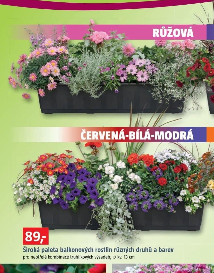 Široká paleta balkonových rostlin různých druhů a barev