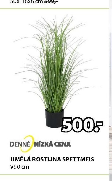 UMĚLÁ ROSTLINA SPETTMEIS