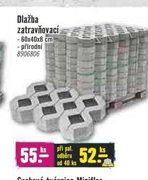 Dlažba zatravňovací