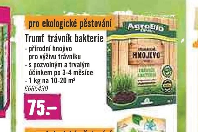 Trumf trávník bakterie