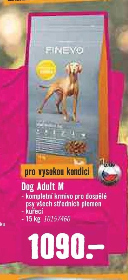 Dog Adult M