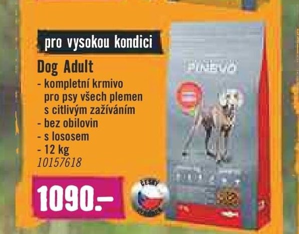 Dog Adult
