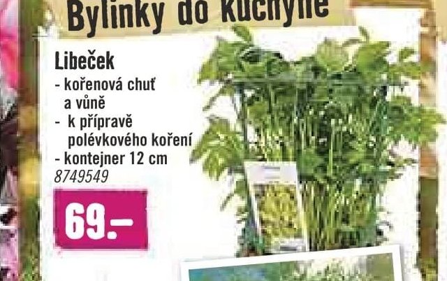 Libeček
