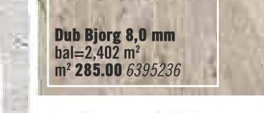 Dub Bjorg