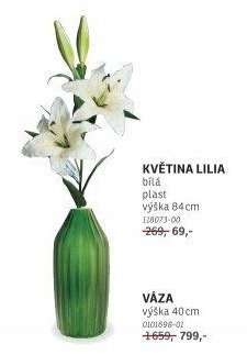 KVĚTINA LILIA