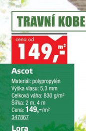 Travní koberec Ascot